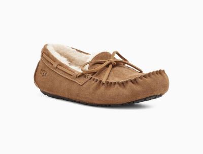 UGG Olsen Slippers for Mens - Chestnut/Brown India